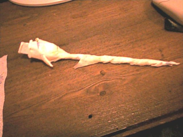 How to Make Your Own Tissue Rose!