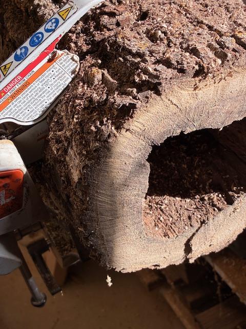 Cutting the Hollow Log