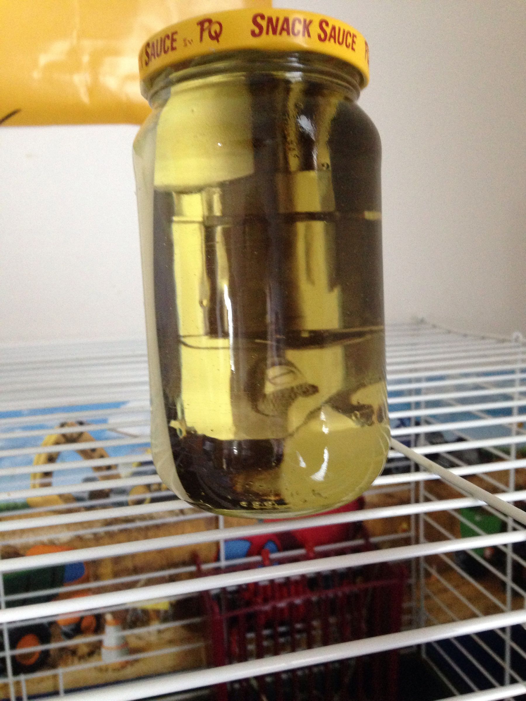 How to Make a 3d Pic in a Jar