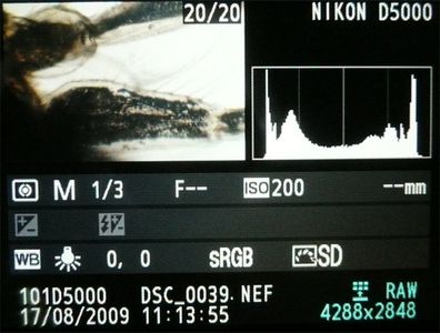 Taking Photographs
