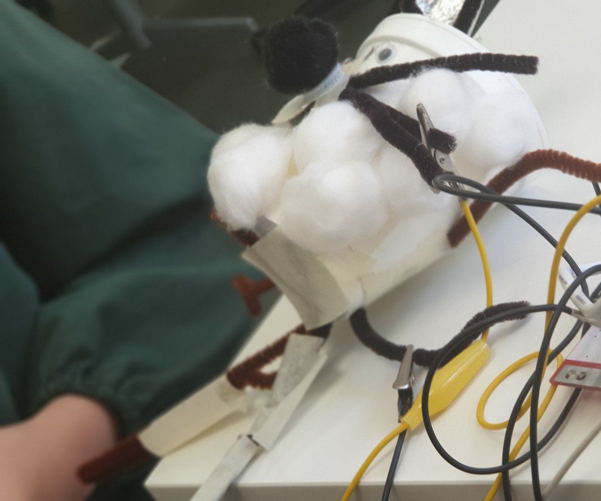 Makey Makey Conductive Doll/Toy 