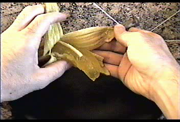 Gel-O-Shot INSIDE a Banana!