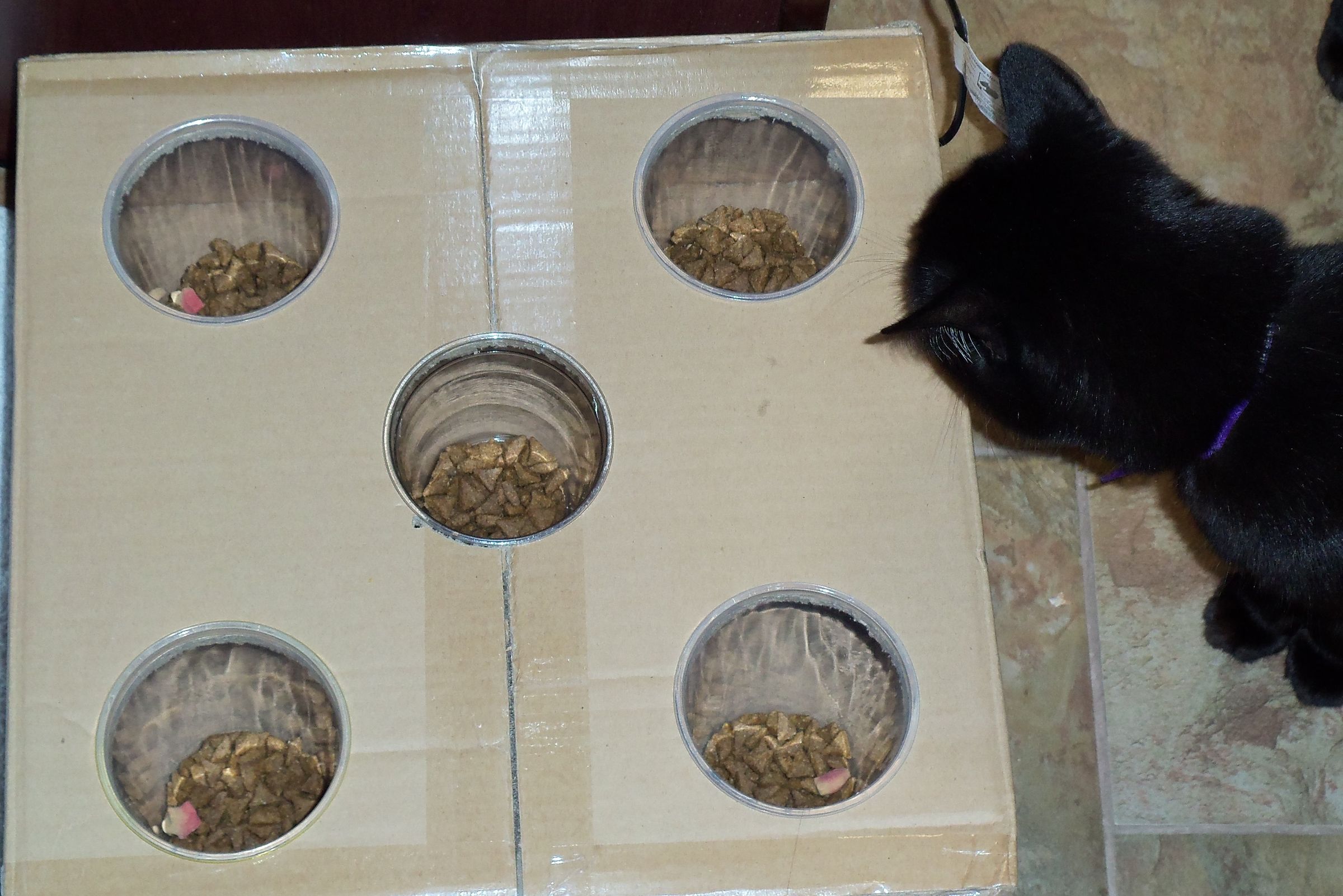 Stimulating Cat Food Bowl