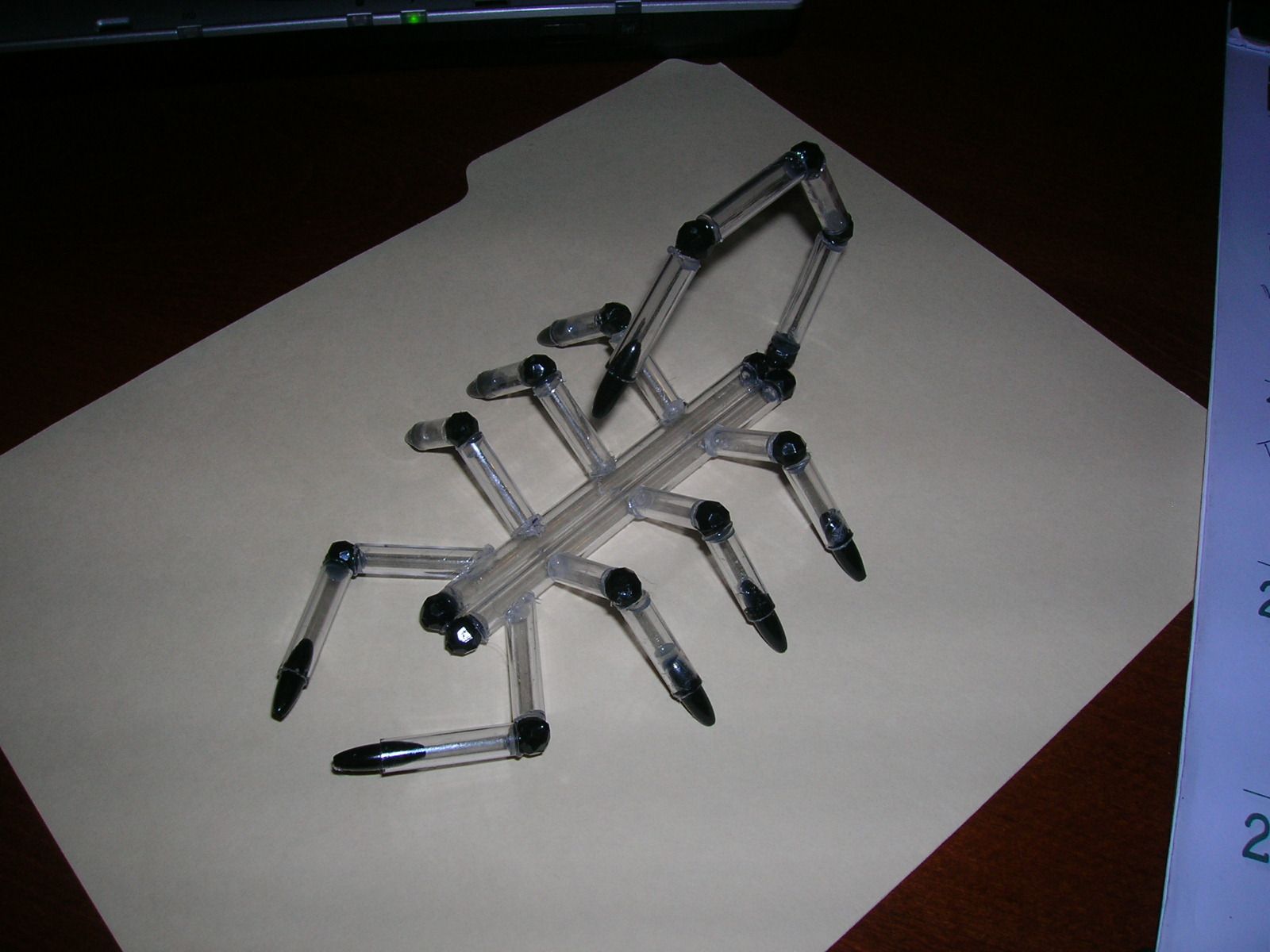 The Acrylic Scorpion 