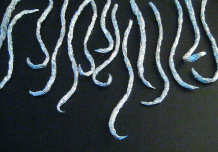 Shape Tentacles