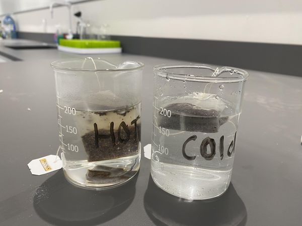 Understanding Diffusion: How Fast Does Tea Spread Through Water? : 8 ...