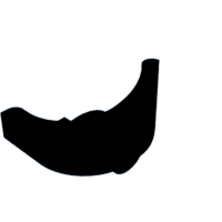 download {{ file.name }}