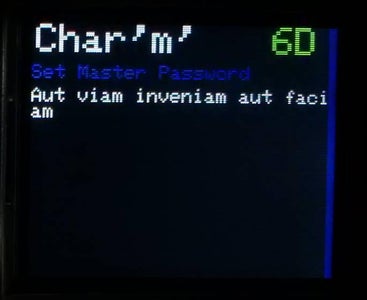 Set Master Password