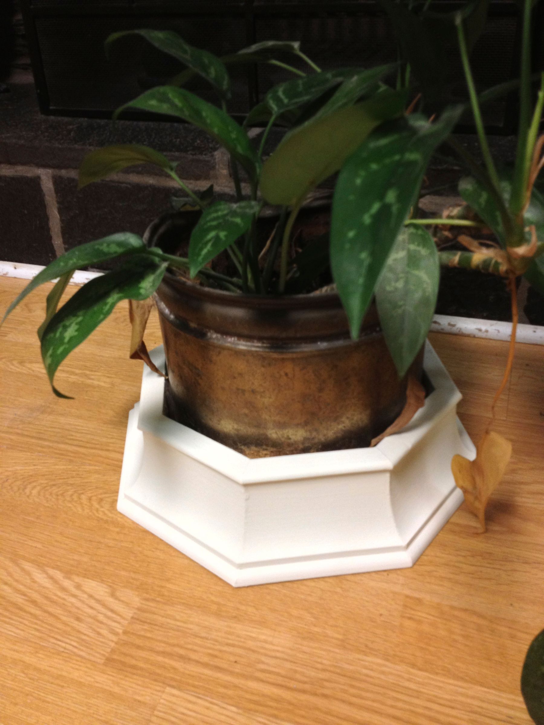 Make a Decorative Ring for Potted Plants