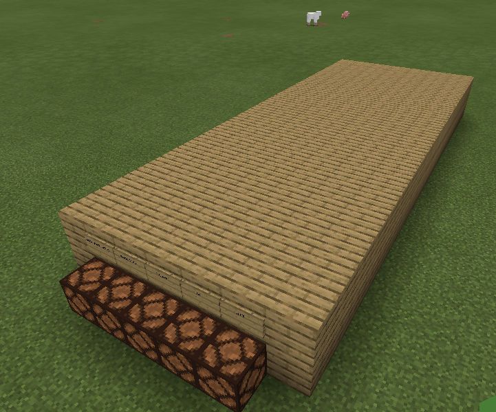 Minecraft 20 Questions Game