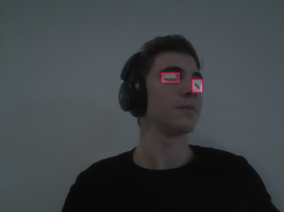 Collecting and Labeling Eye Dataset