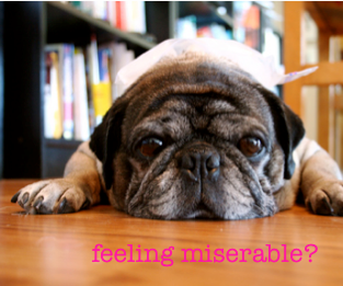 How to Recover Lost Contacts From IPhone 5?