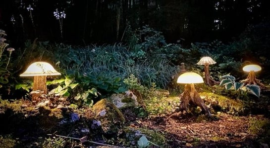 Enjoy Your Magical Fairy Lights After Dark