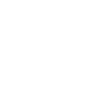 download {{ file.name }}