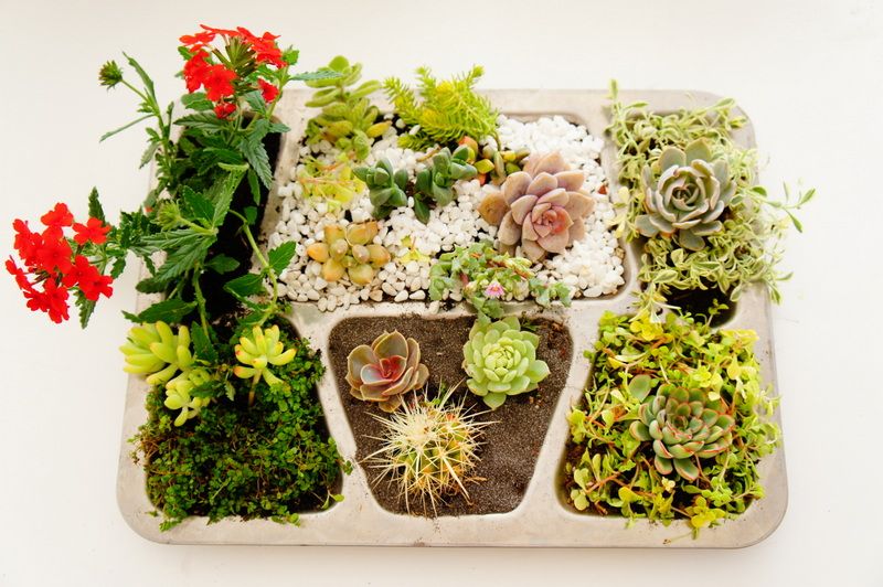 WWII Military Mess Tray Planter