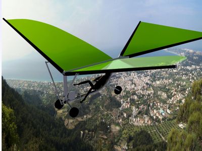 Redbull Flugtag Ornithopter