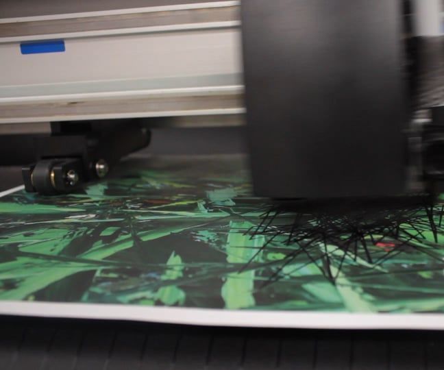 H E a R T B E a T  R E P R O D U C T I O N 