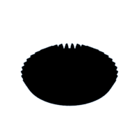 download {{ file.name }}