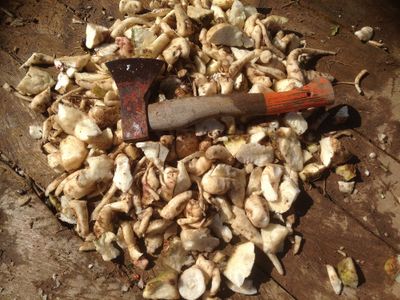 Chopping Again
