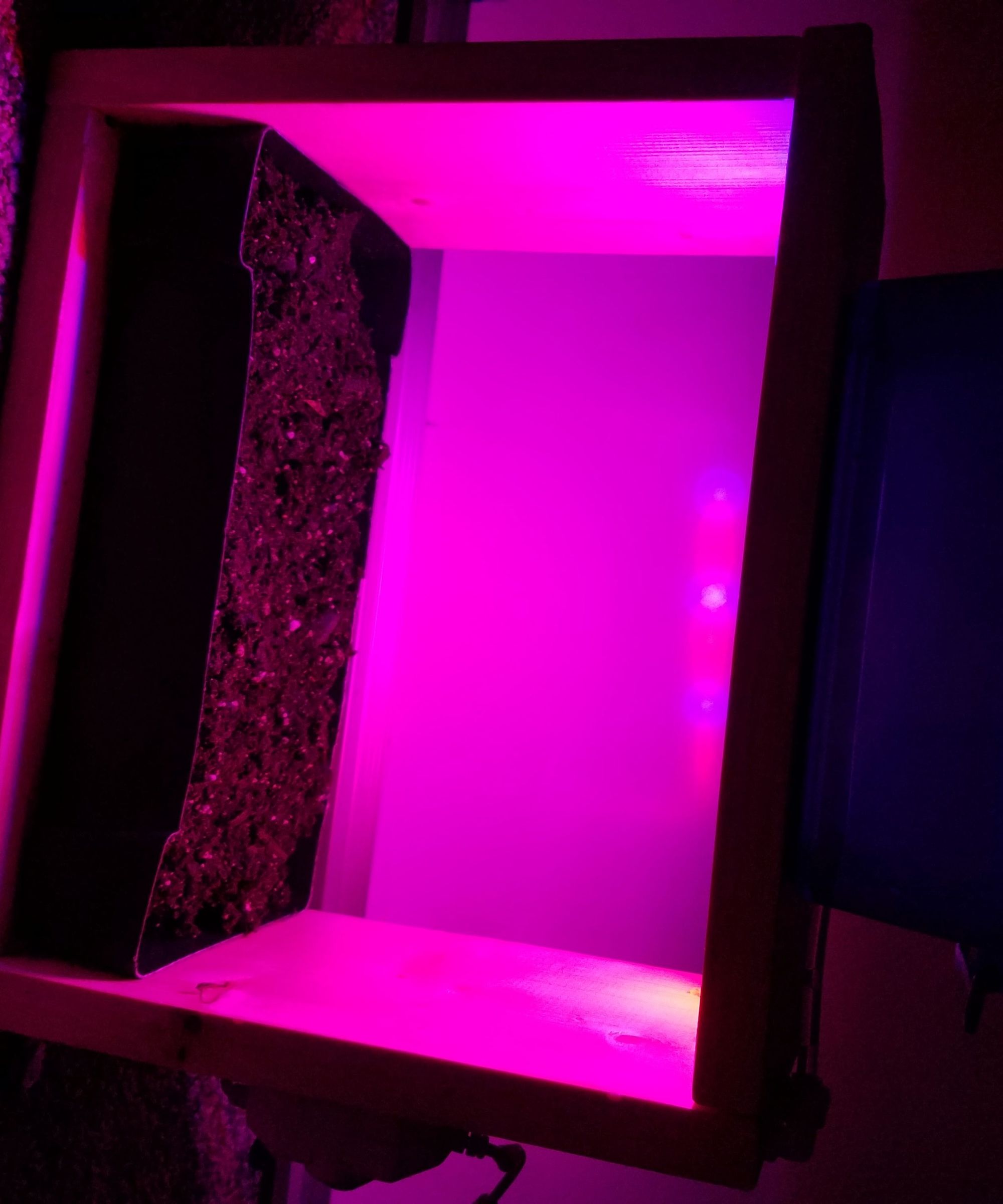 Compact Planter With LED Plant Lights