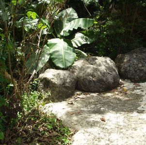 TRASH ROCKS -- Eliminate Unrecyclable Trash : 8 Steps - Instructables