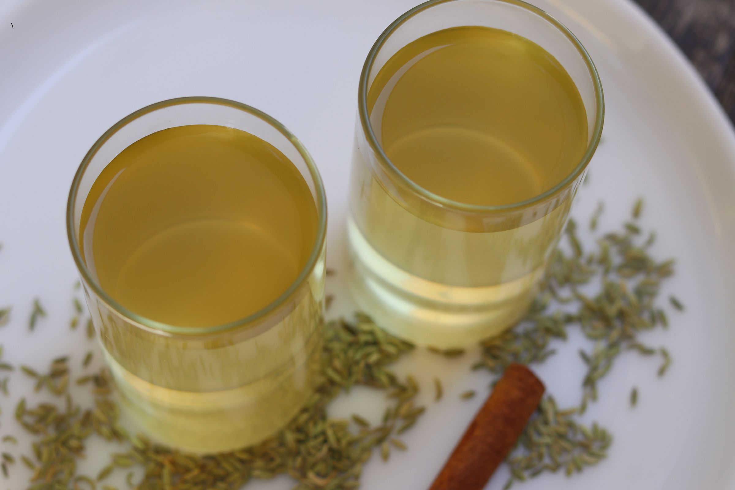 Cinnamon Fennel Seeds Drink Weight Loss Recipe Instructables