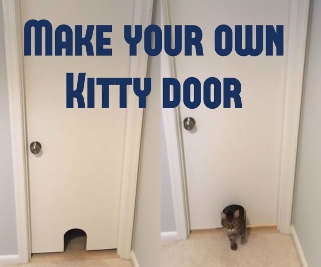 Kitty Door