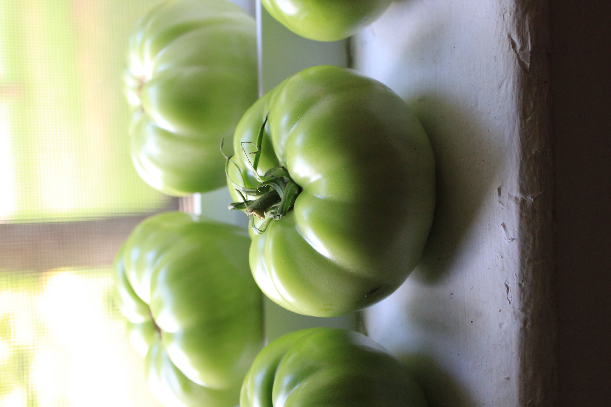 How to Can Green Tomatoes 3 Steps (with Pictures) Instructables
