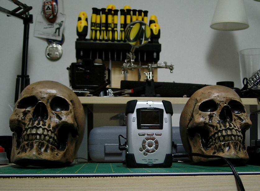 Flashing "BONEfones"