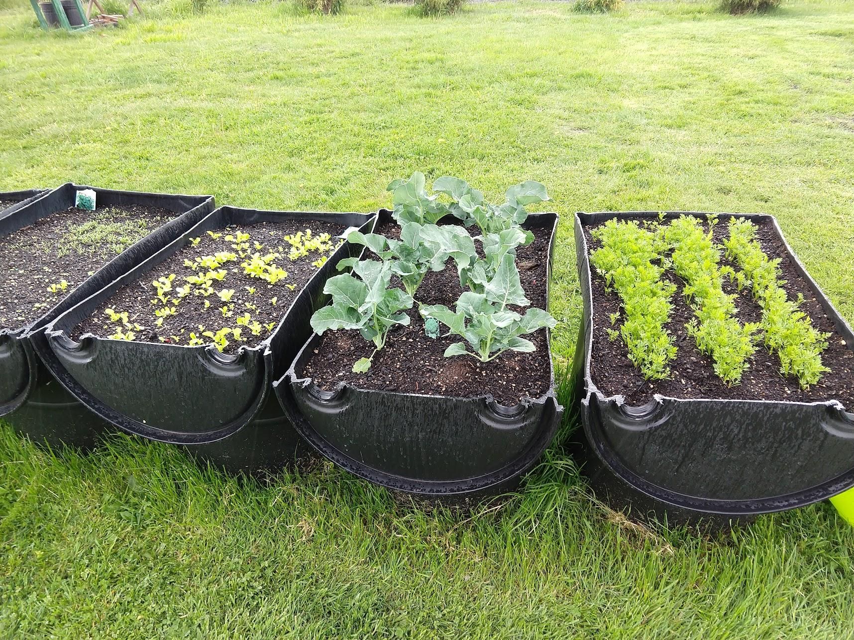 PVC Mini Greenhouse 5 Steps (with Pictures) Instructables