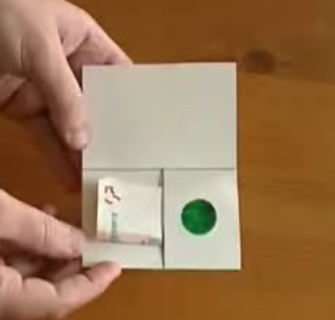 Magic Paper Toy