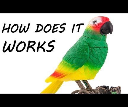 Talking Toy Parrot