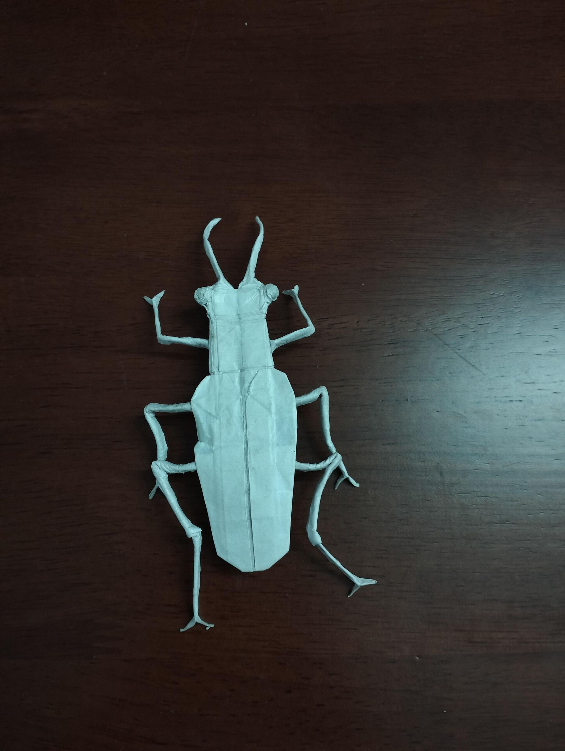 Origami Beetle : 5 Steps - Instructables