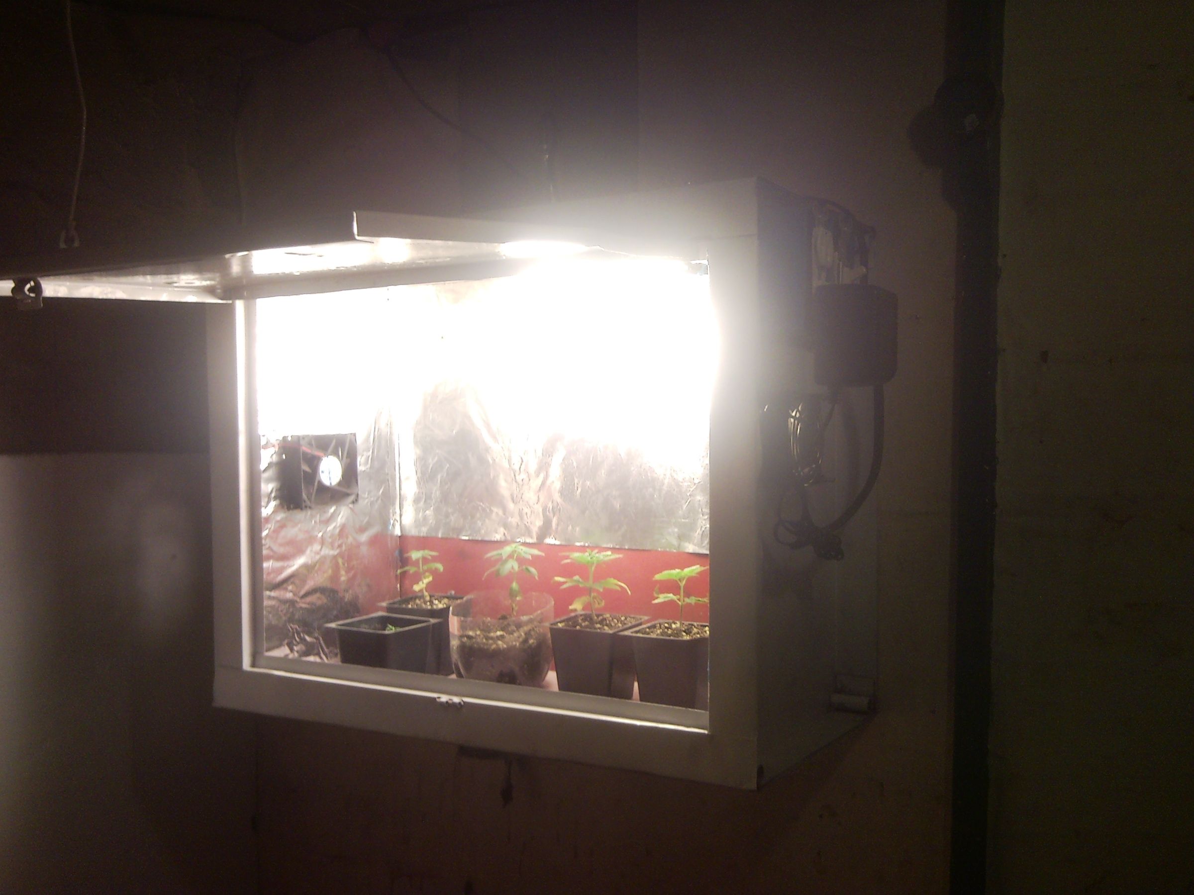 DIY- Indoor Seedling Grow Box