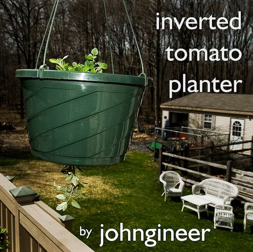 Inverted Tomato Planter