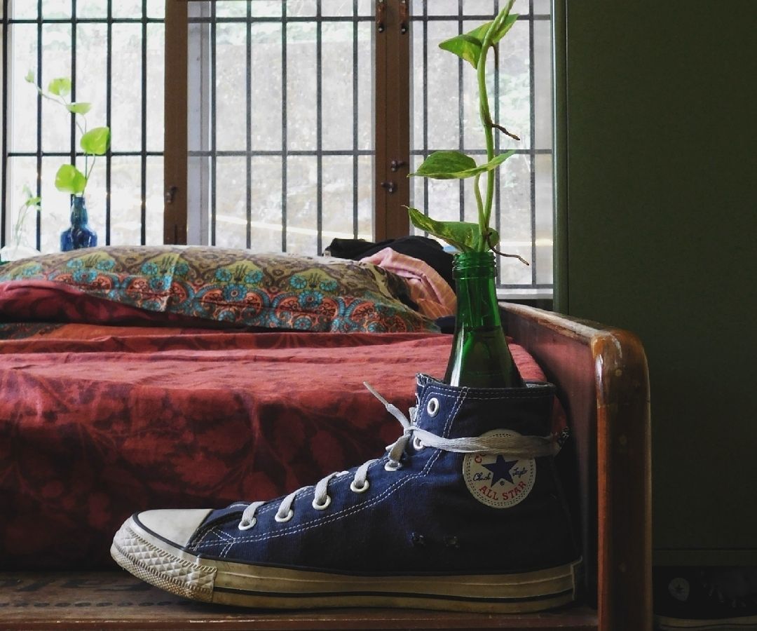 Indoor Planting Setup Using Your Old Shoe