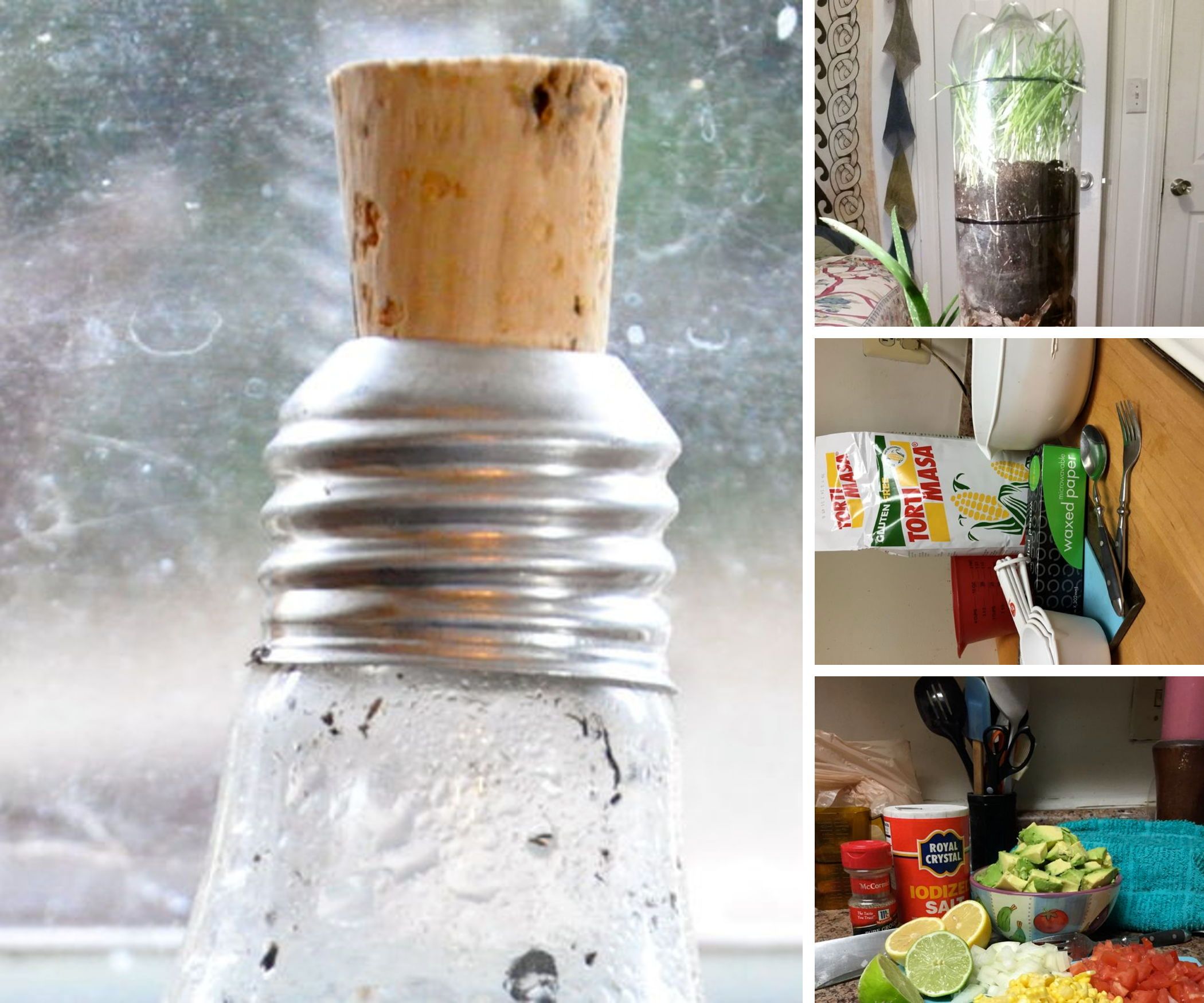 Towson University English 318 Student Projects