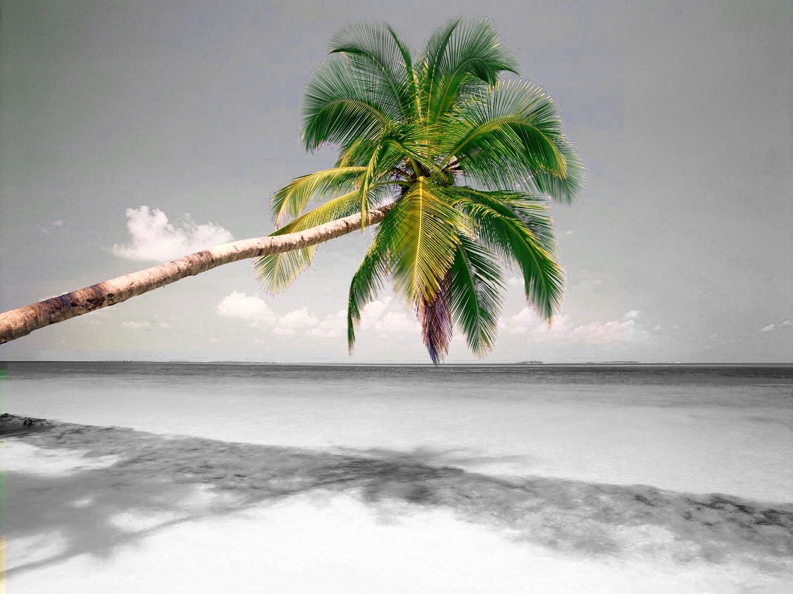 Easy "Colourized" Photos in GIMP