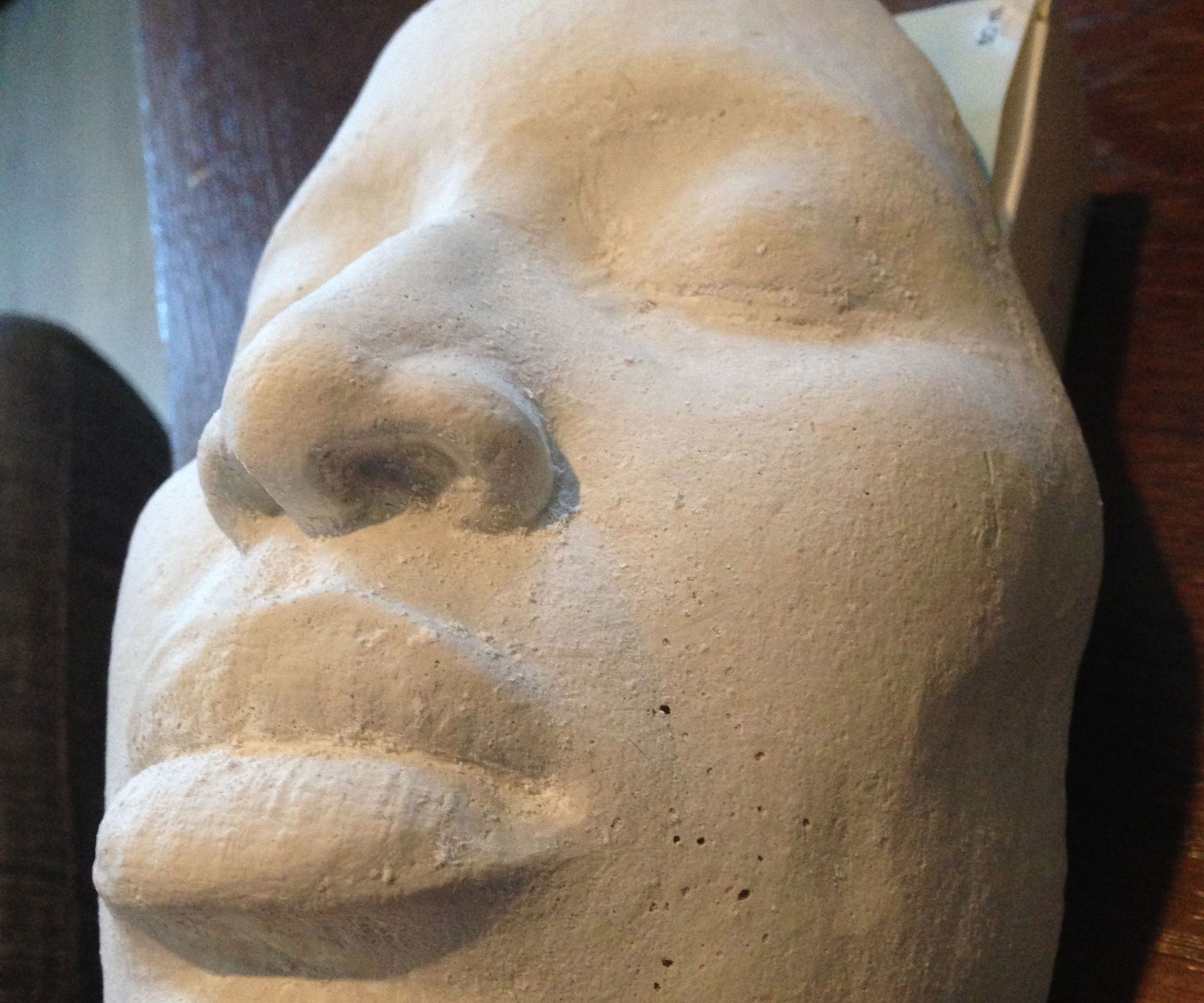 Face Casting (No Silicon or Alginate Needed) Much Cheaper and Faster.