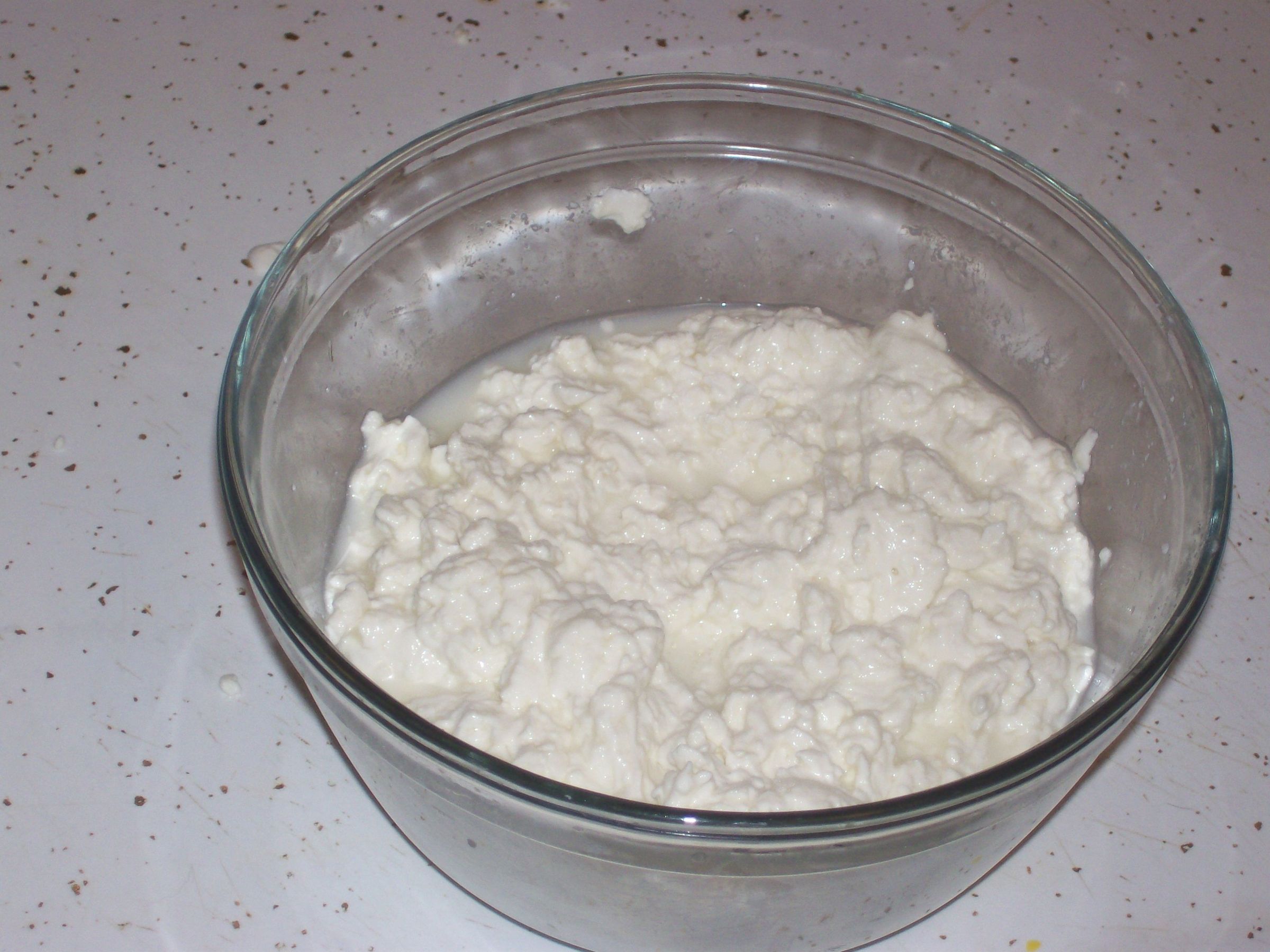 How to Make Great Fresh Mozzarella Cheese 19 Steps (with Pictures