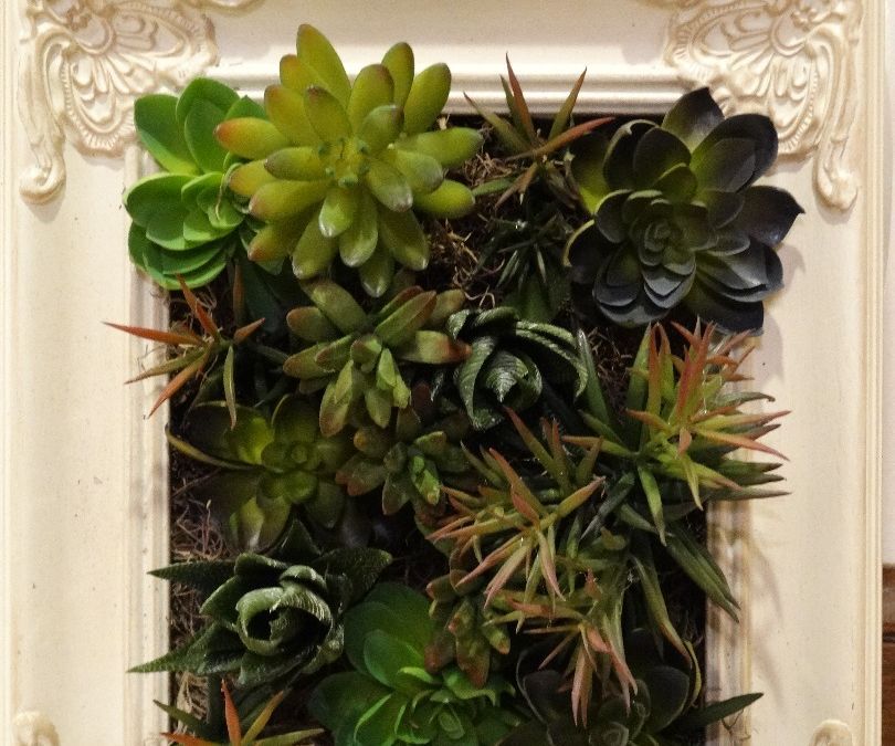 Framed (Artificial) Succulent Arrangement