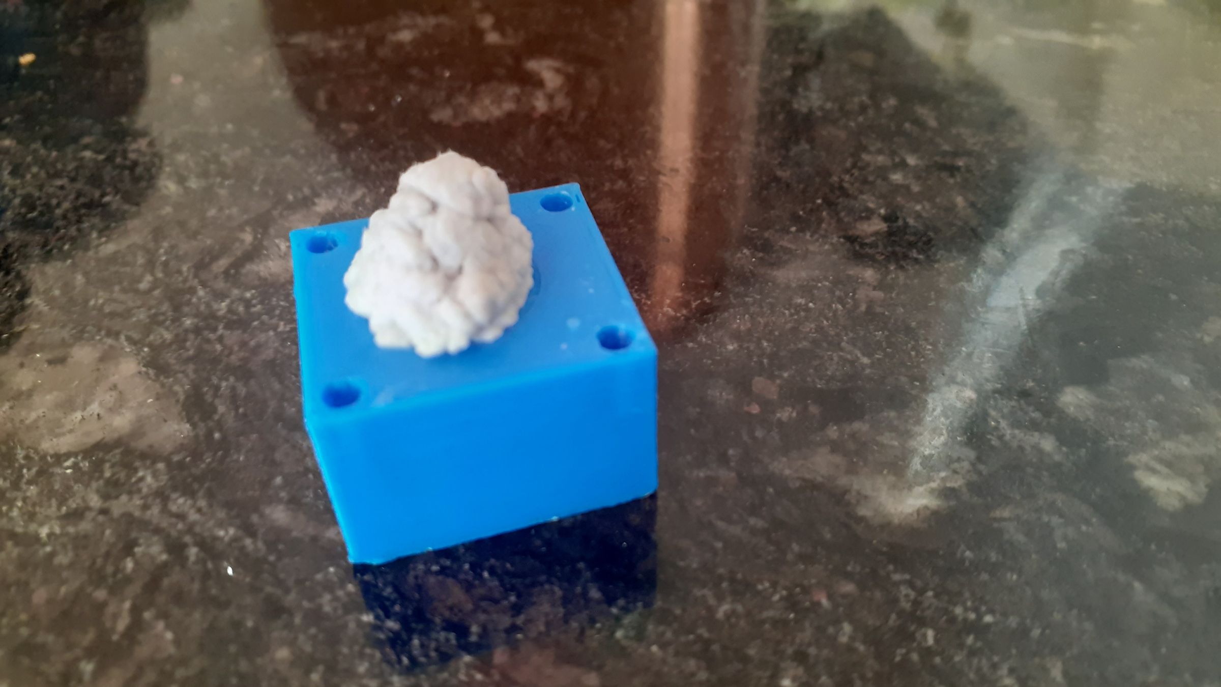 Tree Planting Paintballs 8 Steps Instructables