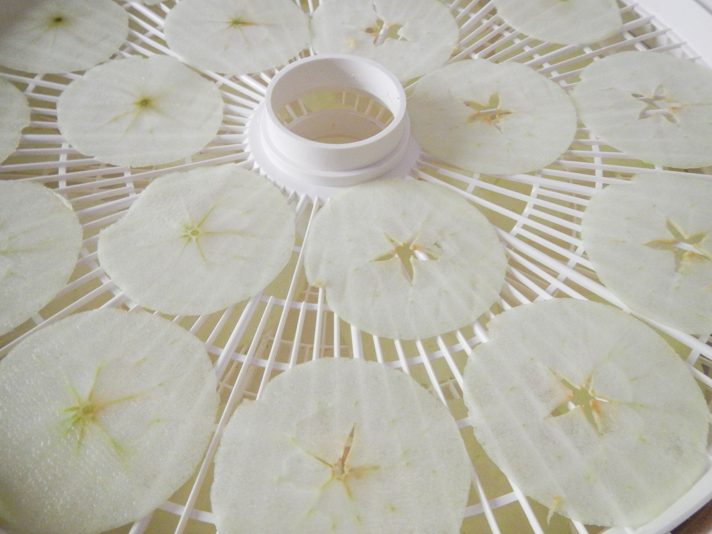 How to Dehydrate Apples 5 Steps (with Pictures) Instructables