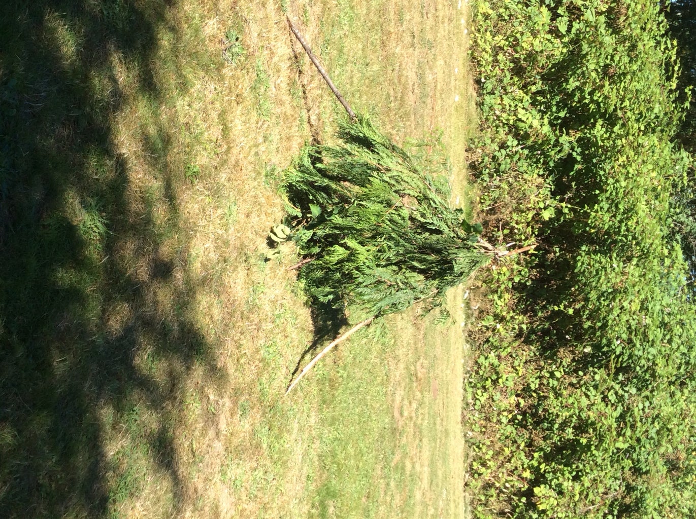 Survival Signal Fire 5 Steps (with Pictures) Instructables