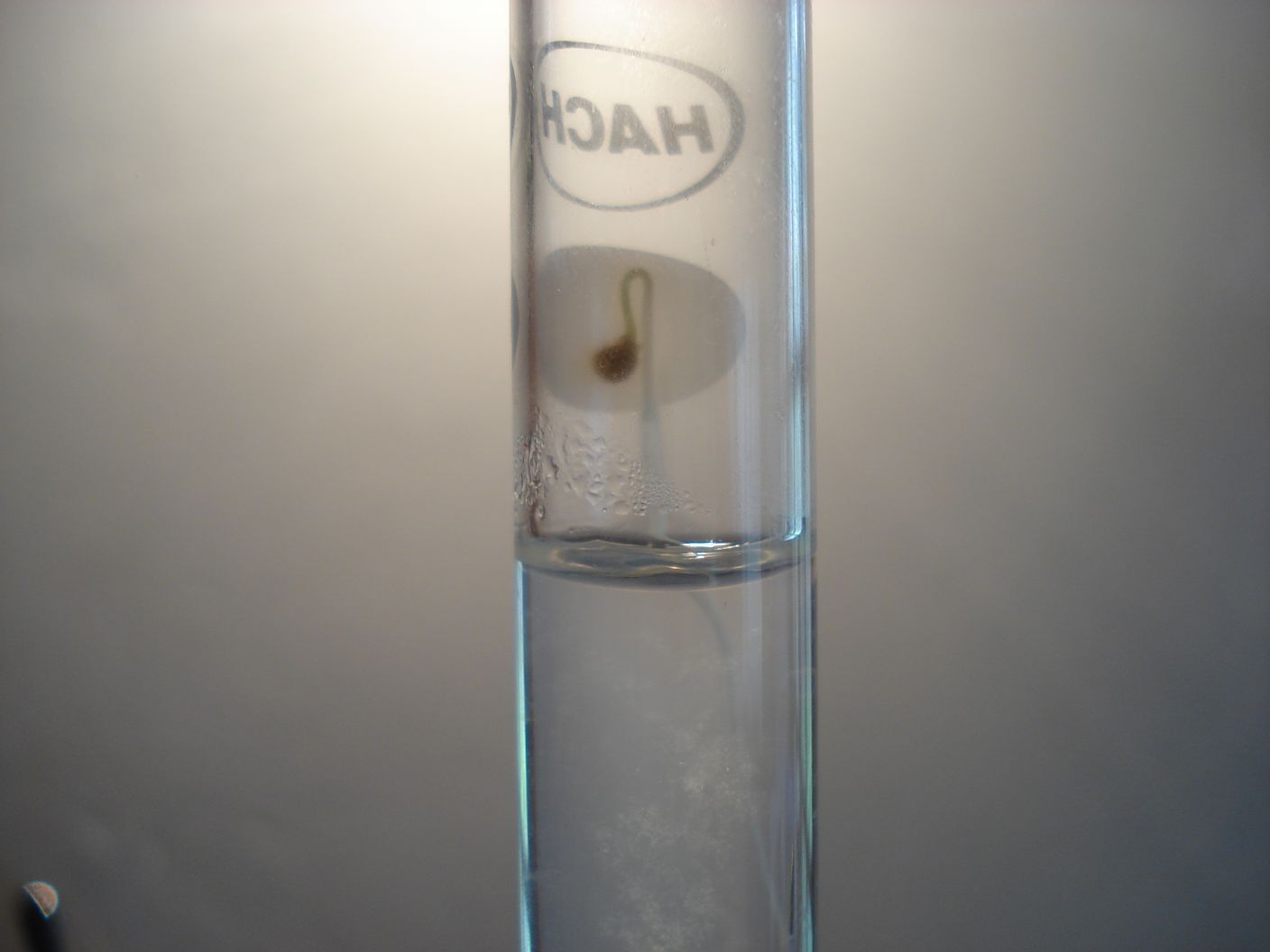 Cultivating in Test Tubes! / Como Cultivar En Tubos De Ensayo!