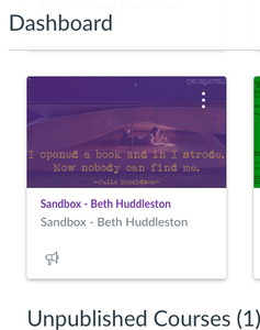 Login to a Canvas Course. 