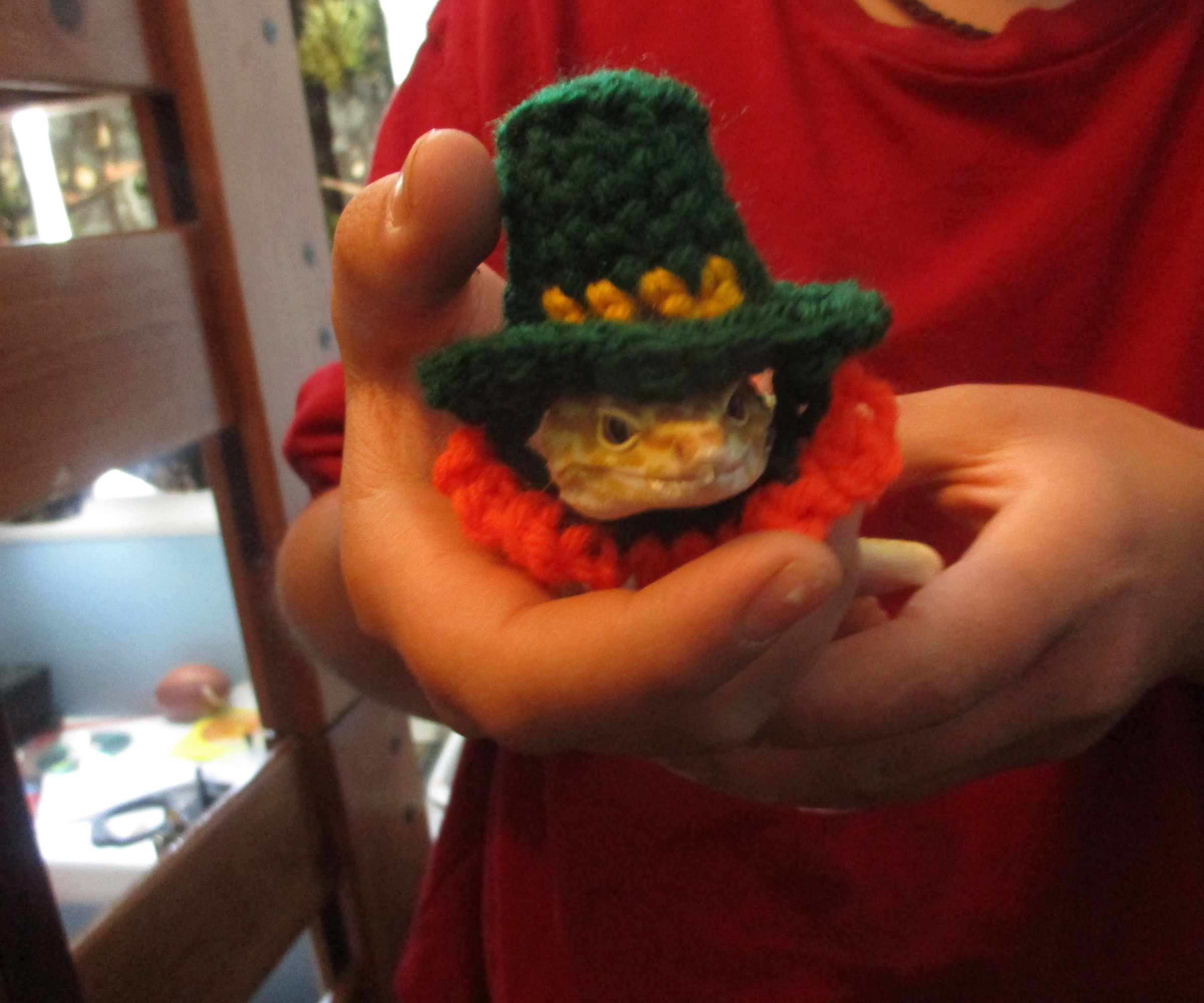 Tiny Crochet Leprechaun Hat
