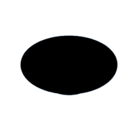 download {{ file.name }}