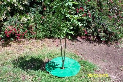 How to Make Mulch Rings/Mats