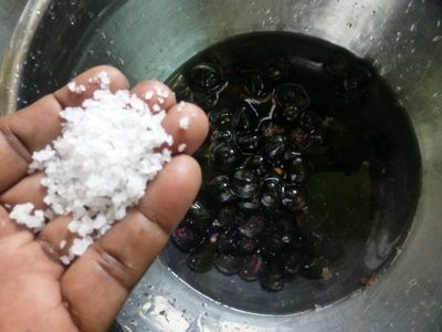 How to Make Jamun Wine : 8 Steps (with Pictures) - Instructables